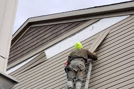 Historical Building Siding Restoration in Brent, FL